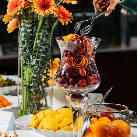 Montebelo Congress & 酒店 维塞乌