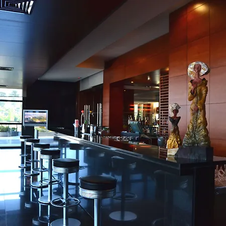 酒店 Montebelo Congress & 维塞乌