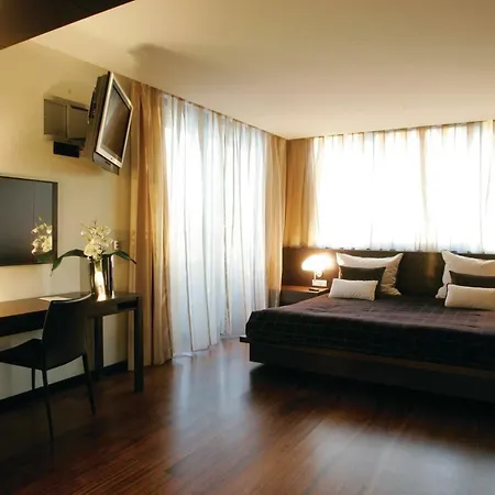 Montebelo Congress & 维塞乌